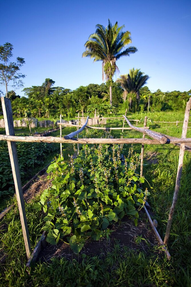Cotton Tree Lodge - Property Image 27