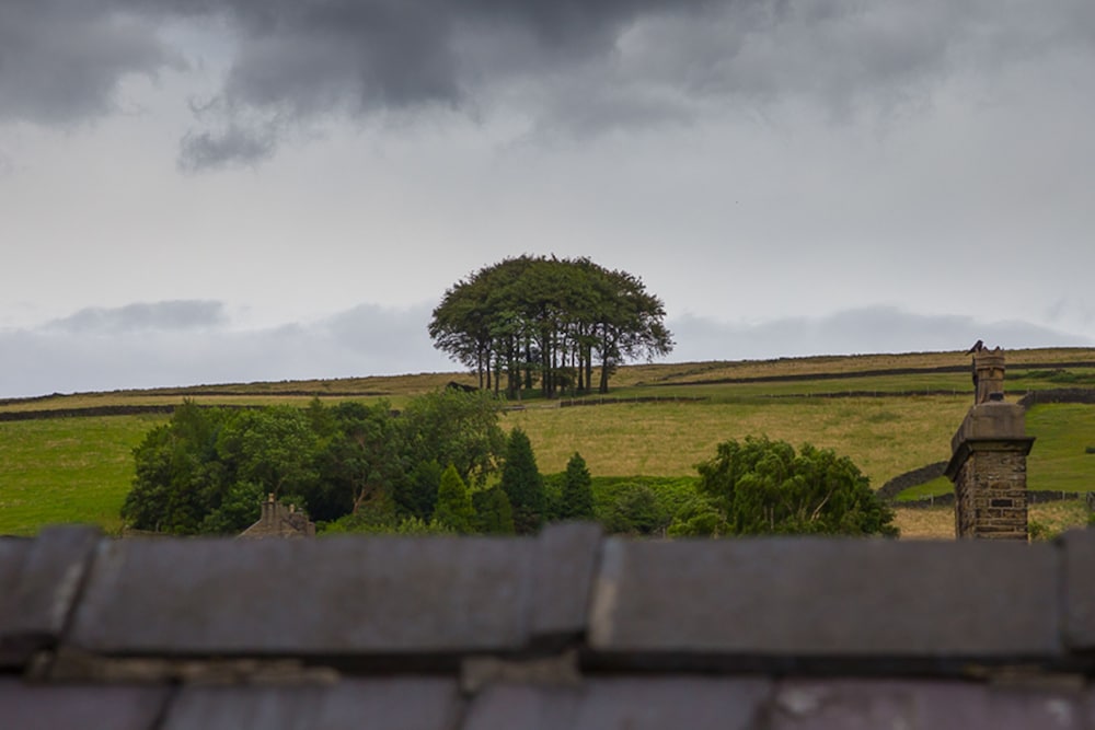 Millies Hayfield