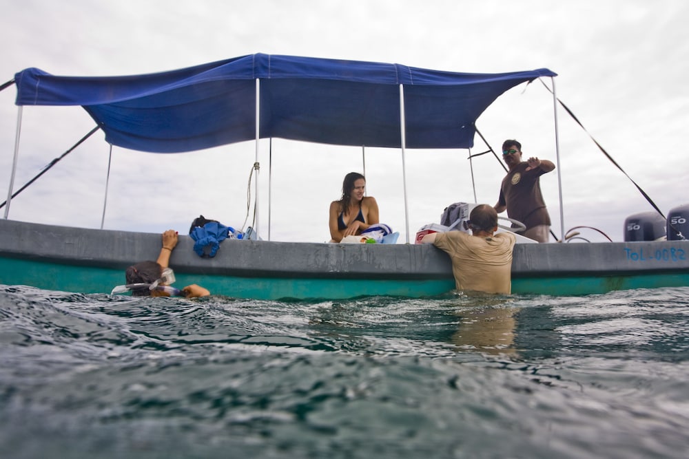 Cotton Tree Lodge - Property Image 35