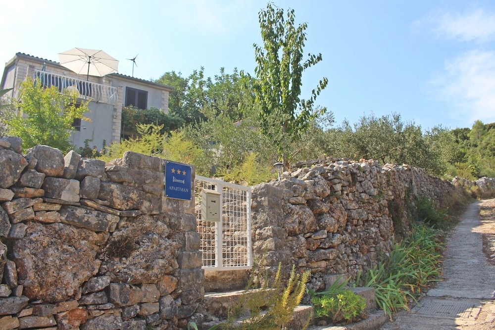 Photo 48