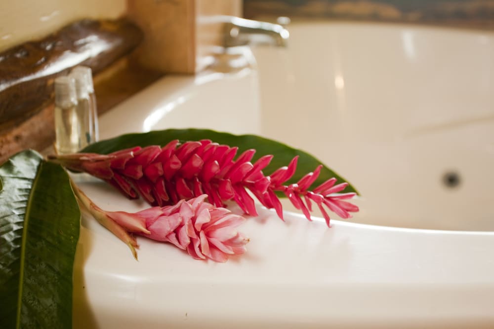 Cotton Tree Lodge - Property Image 31