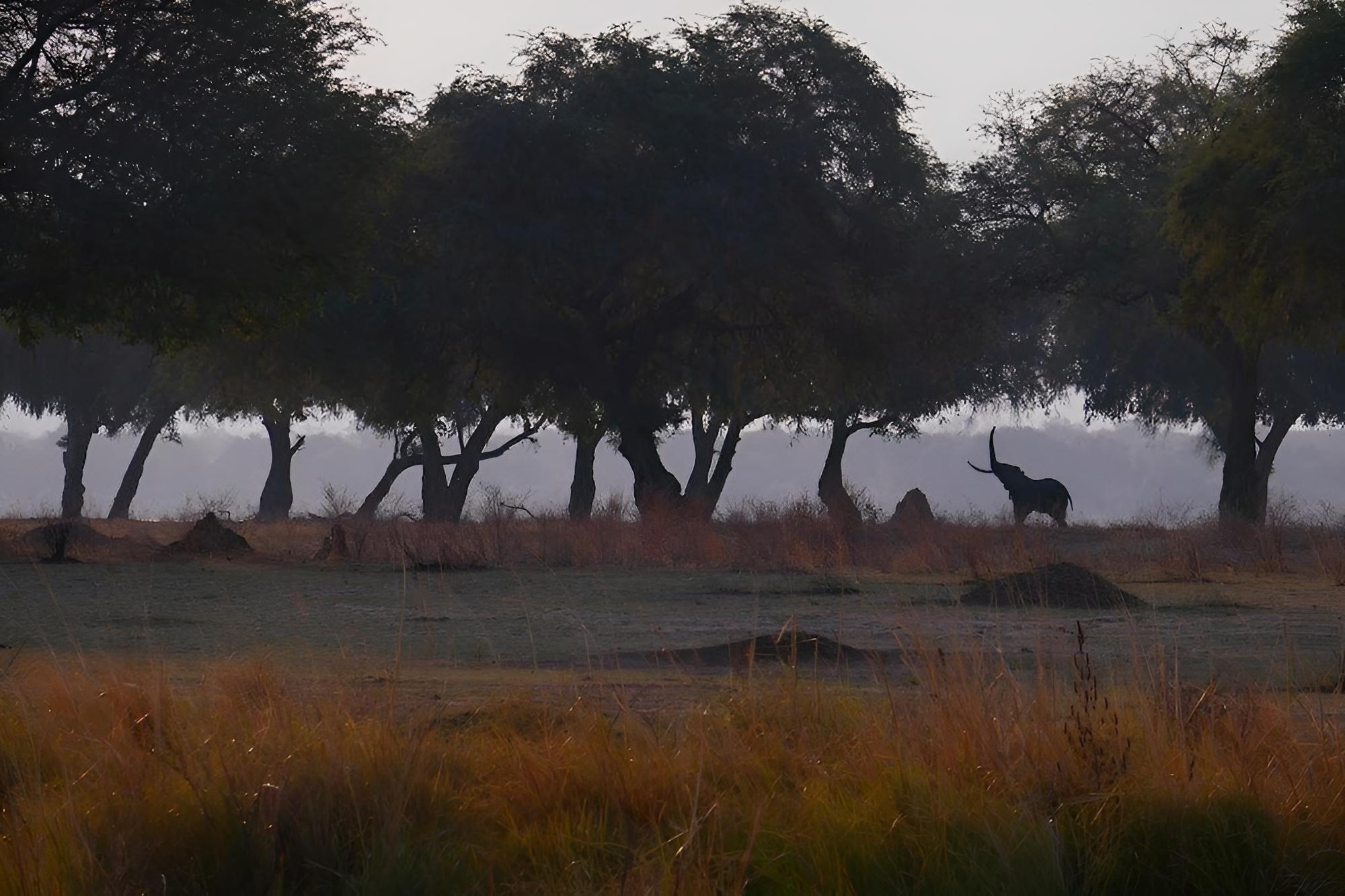 Mwinilunga Safaris