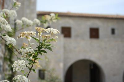 Petra & Fos Boutique Hotel & Spa