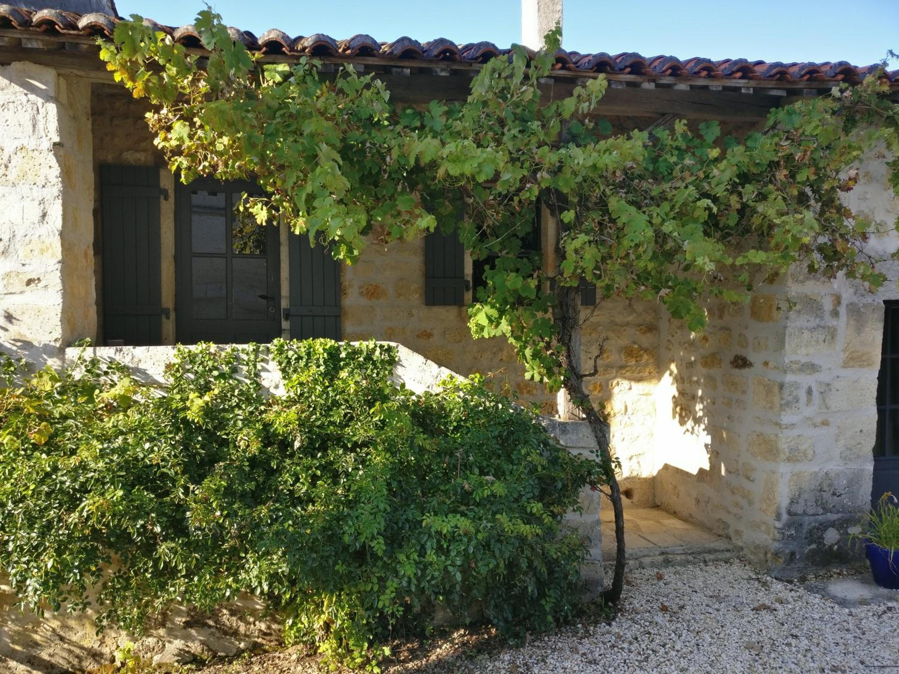 Standard Cottage - Photo 14