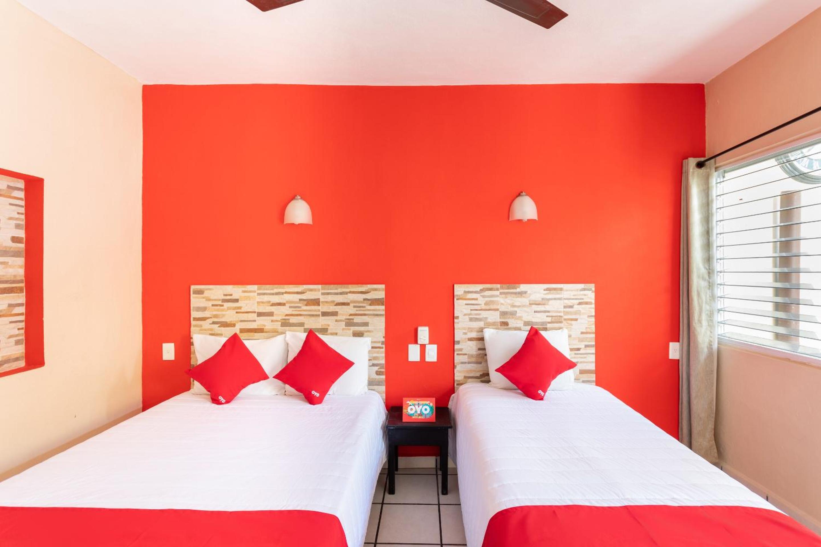 Twin Room photo 2