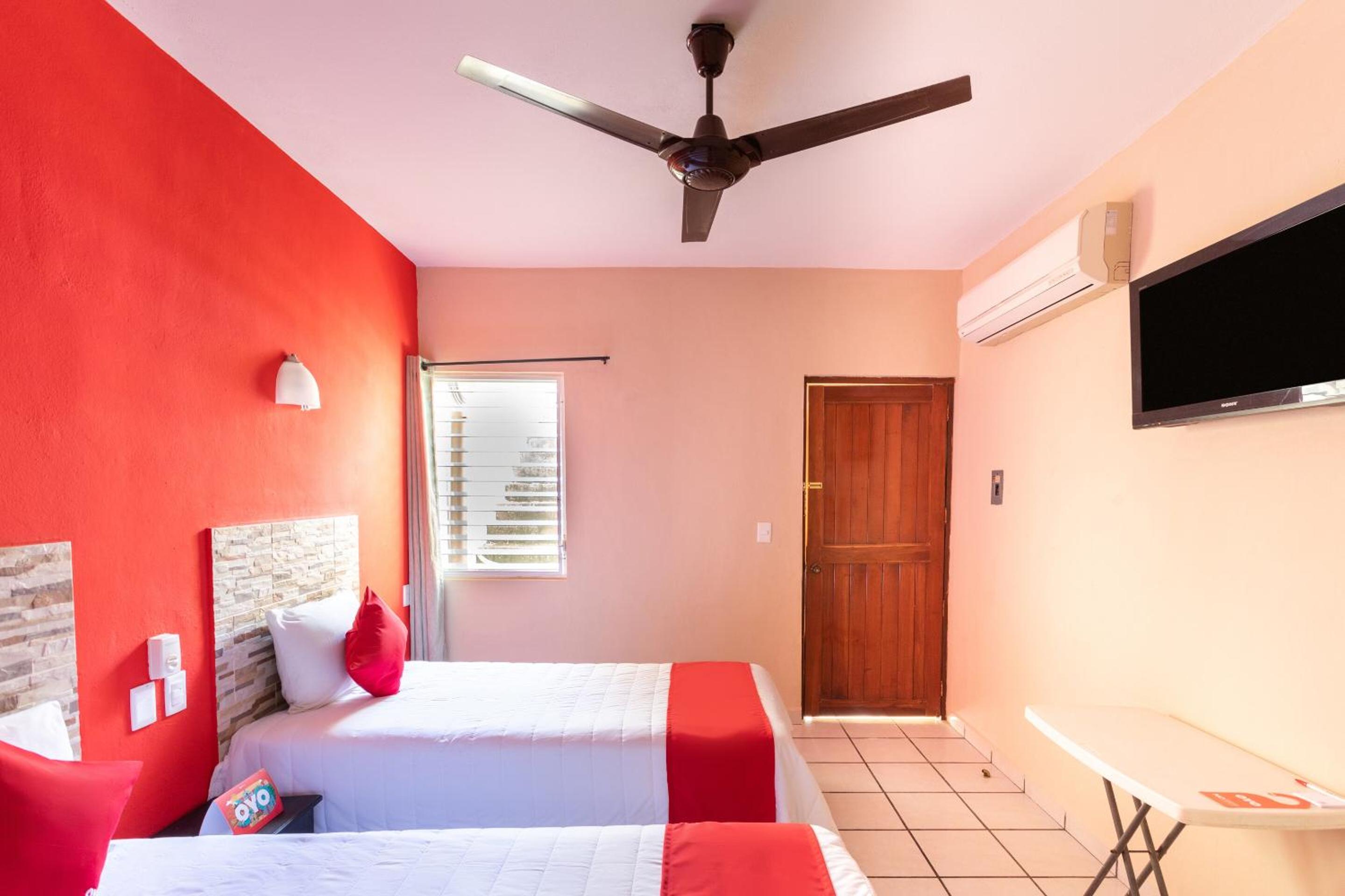 Twin Room photo 3