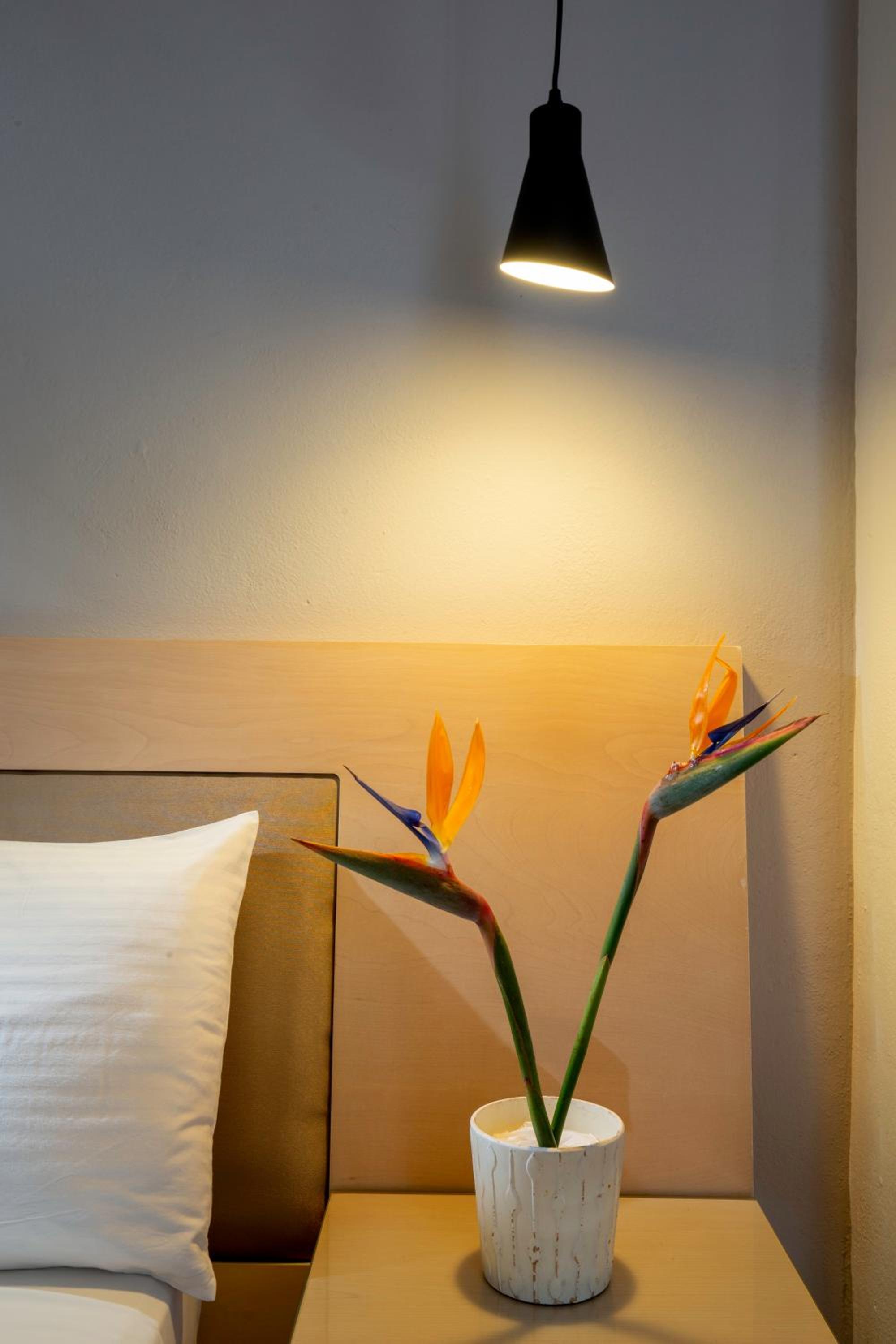 Double or Twin Room photo 1